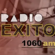 Logo Exito