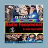 Radio Fenomenal